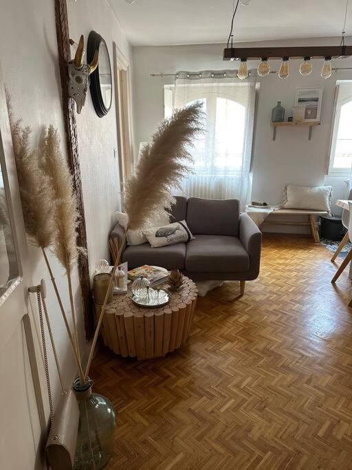 Appartement Carmes, Hypercentre تولوز المظهر الخارجي الصورة